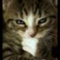 Cyber Meong