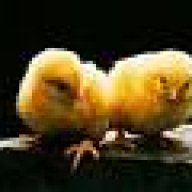 SiswaSD