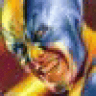 GymnSymnShake