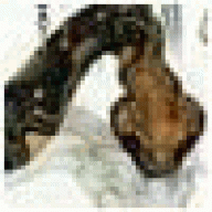 Revc07