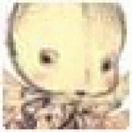 bslvuchvh