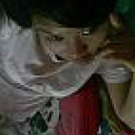 buteto