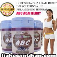 adeliaara104