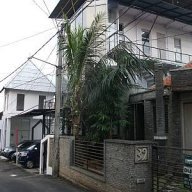 kostbambu