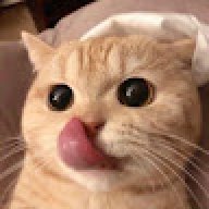 Lalalalalalala