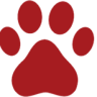 householddog1