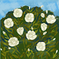 uu88blog