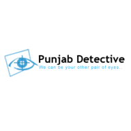 punjabdetective