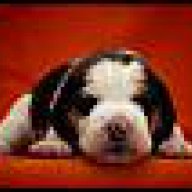 rocky_heidy
