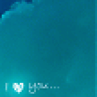 sii*dolphin