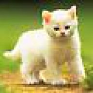 jinnycat