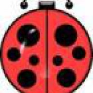 deBugs