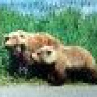 yosaphat sang tyrannosaur