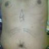 bocor45