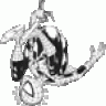 webhead