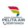 Pelita Air