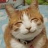 nenochan2