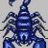 scorpio_boy