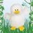 bebek montok