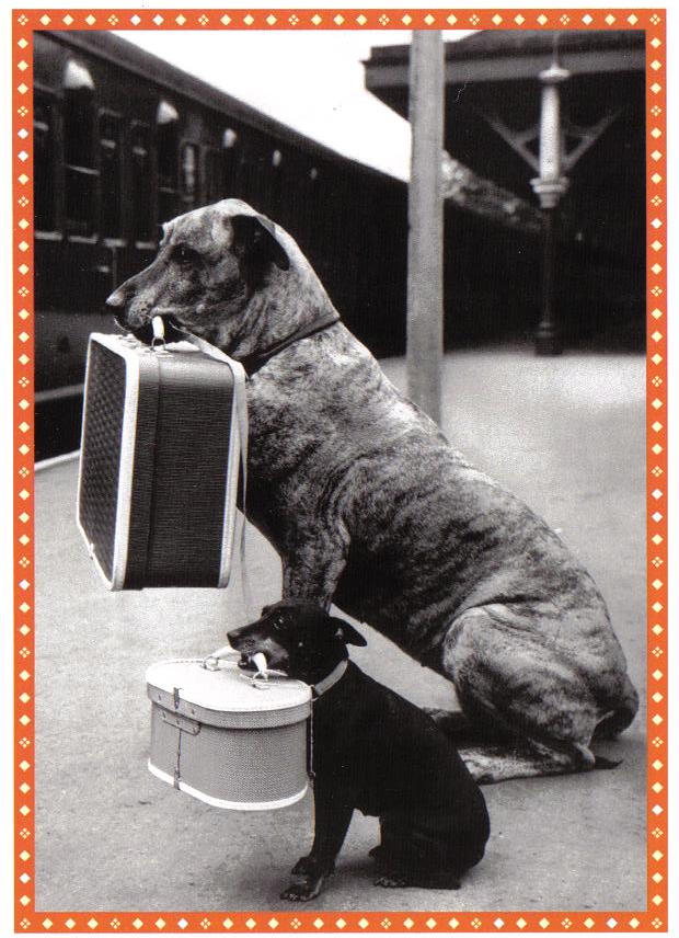 goodbye-card-2.jpg