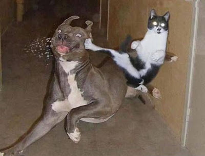 2.karateka.jpg