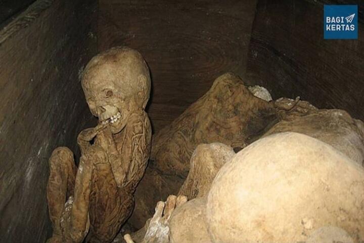 Benarkah Fenomena Coffin Birth Itu Ada? 