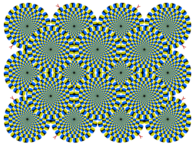 ZnDY2.gif