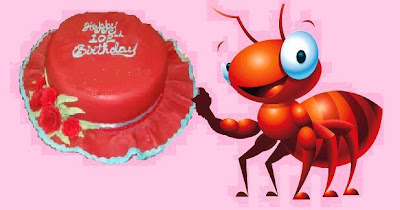 ant+birthday.JPG