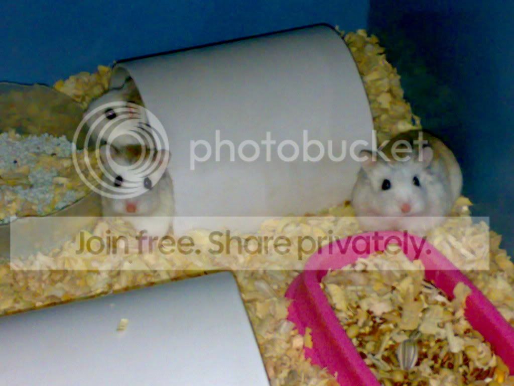 26072009154.jpg