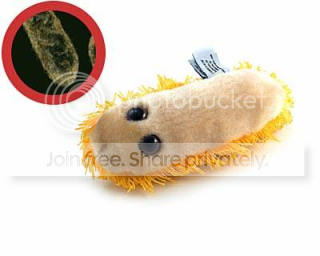 bacteria_stomachache-dysentery.png