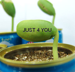 BXvm.png