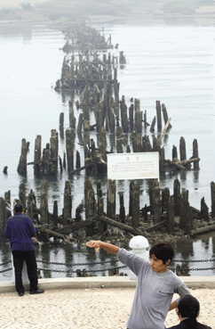 16koreat.gif