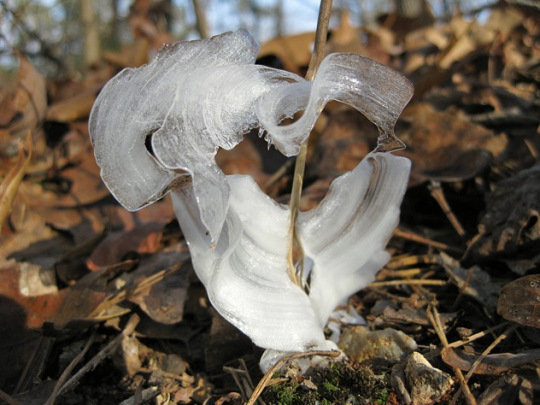sPgu.jpg