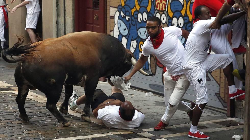 Di Wilayah Ini, Sapi adalah Binatang Pembunuh