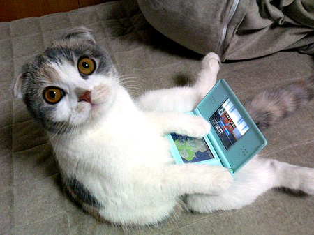 pussy-nintendods.jpg