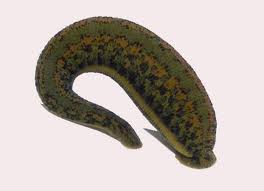 WuQgk.jpg