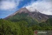 Merapi luncurkan tujuh guguran lava hingga 1,8 km ke tiga sungai