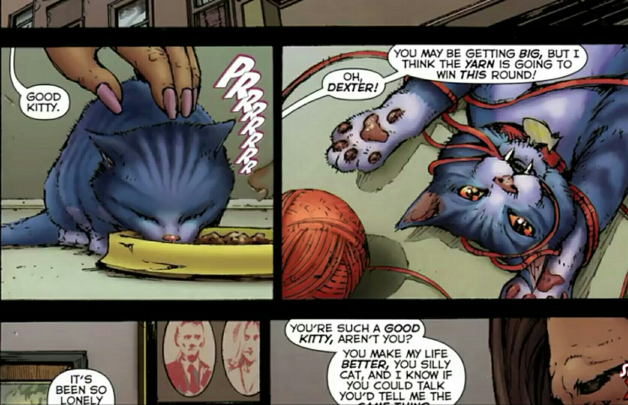 Asal Usul Dexx-Star (DC), Kucing Yang Menjadi Red Lantern Amarah