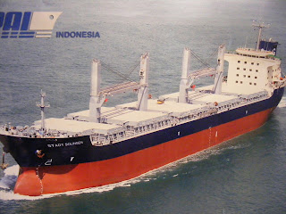 pal+star+50.jpg