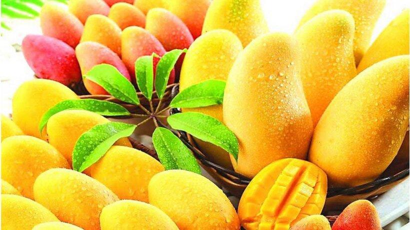 Ternyata Ada Loh Cara & Waktu Yang Tepat Makan Buah