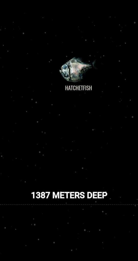 Ini Dia Ilustrasi Dalamnya Laut yg Begitu Menyeramkan [Warning : Sangat Dalam]