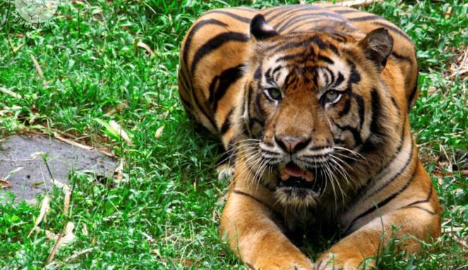 UAD20.jpg