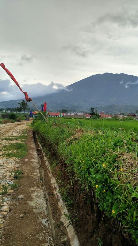 rumah_gemilang_property_lido_03.jpeg