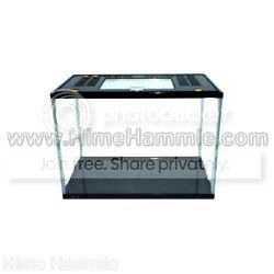 ABSetonAquarium.jpg