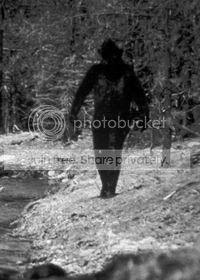 bigfoot1.jpg
