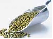 kacang_ijo.jpg