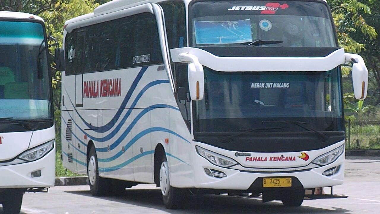 Pahala Kencana, Kuda Kencana Asal Muria Raya