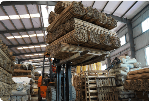 Top Reasons to Buy Bamboo Canes Wholesale in Bulk