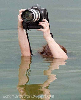 f5zo9+copy.jpg