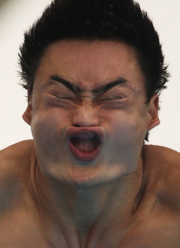 SfrgT.jpg